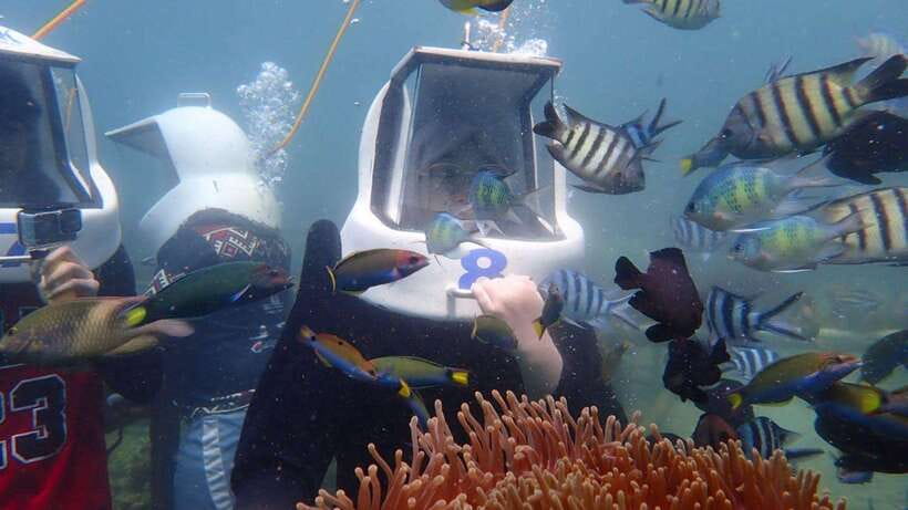 Kota Kinabalu: Snorkeling & Island Hopping Sapi & Manukan - Is $67 a fair price?