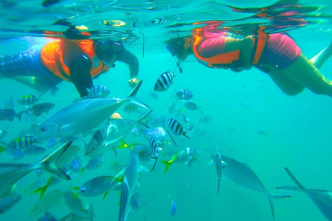 Kota Kinabalu Snorkeling Tour at Manukan and Sapi Island - Key points at a glance