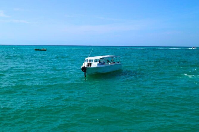 Kota Kinabalu Snorkeling Tour at Manukan and Sapi Island - The ride back and hotel drop-off