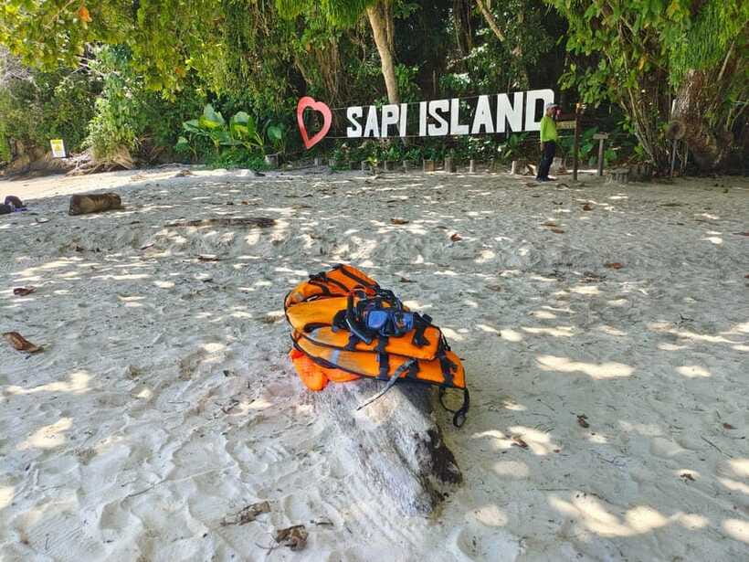 Kota Kinabalu: Twin Island Day Trip Tour ( Sapi & Manukan ) - Who will enjoy this trip most