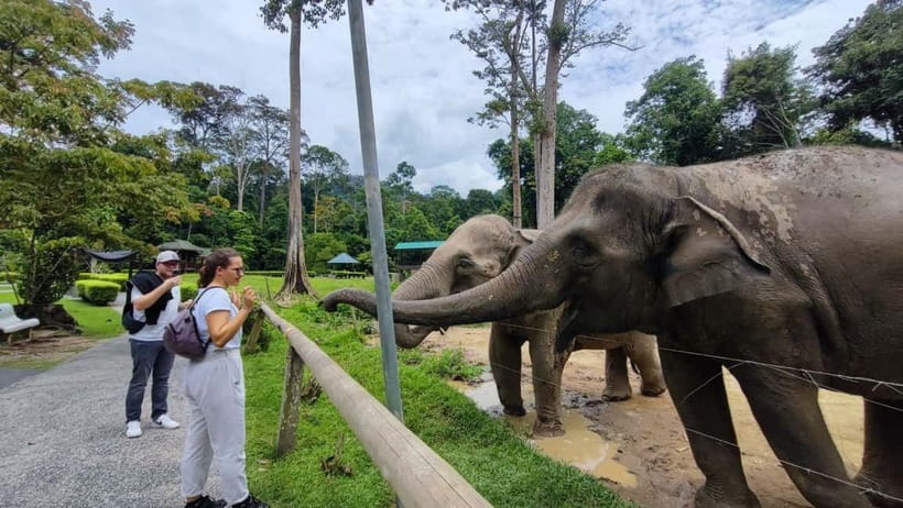 Kuala Lumpur: Batu Caves & Kuala Gandah Elephant Sanctuary - The day begins at Batu Caves