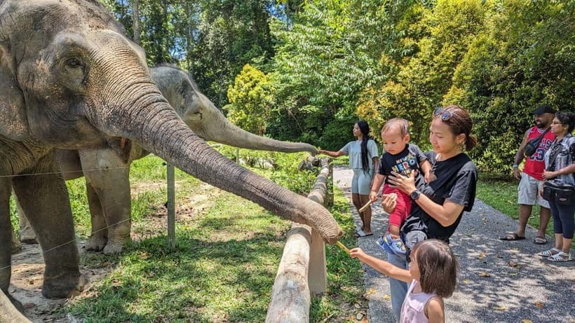 Kuala Lumpur: Batu Caves & Kuala Gandah Elephant Sanctuary - A short stop at Deerland Park