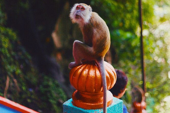 Kuala Lumpur Batu Caves Temple tour with Breakfast and Lunch - Riding through Kuala Lumpur Sentral