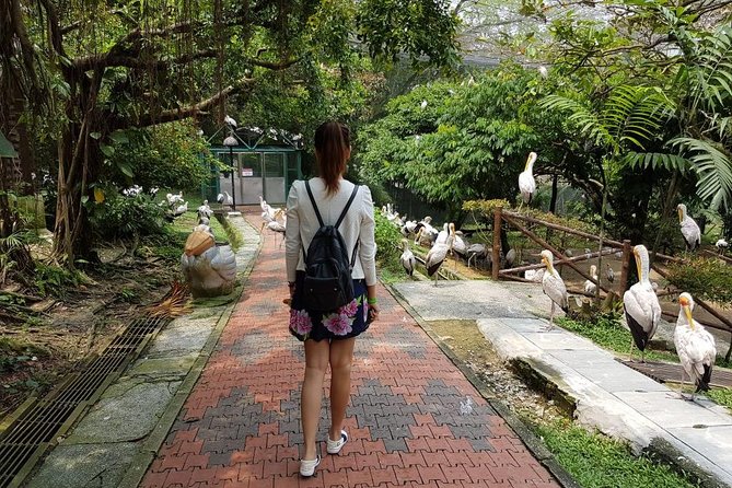 Kuala Lumpur Bird Park Admission Ticket with Private Pickup - Family Appeal and Practical Comfort