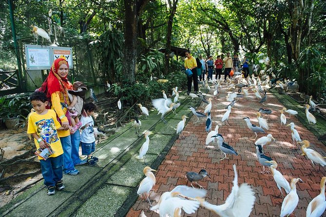 Kuala Lumpur Bird Park & Butterfly Farm Tour - Starting at KL Bird Park in Lake Gardens