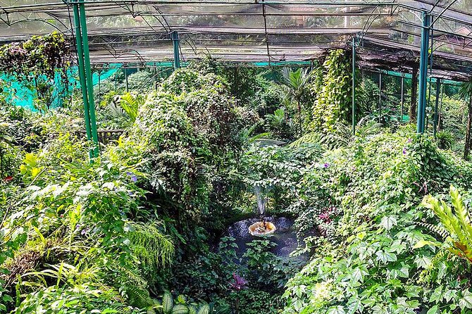 Kuala Lumpur Bird Park & Butterfly Farm Tour - The transport and group setup