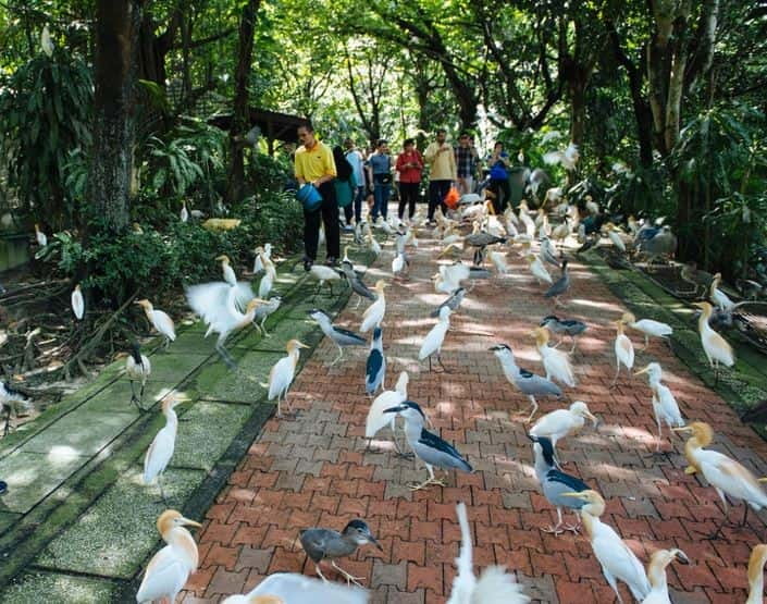 Kuala Lumpur: Bird Park, Butterfly & Garden Private Tour - Why This Tour Works Well In Kuala Lumpur