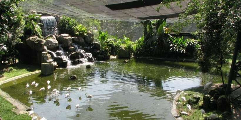 Kuala Lumpur: Bird Park, Butterfly & Garden Private Tour - The Private Vehicle And The Pace Of The Day