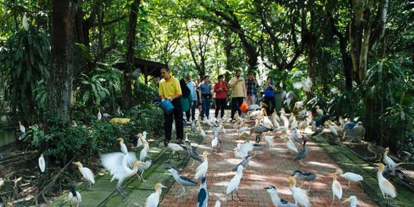 Kuala Lumpur: Bird Park, Butterfly & Garden Private Tour - Who Will Enjoy This Four-Hour Tour?