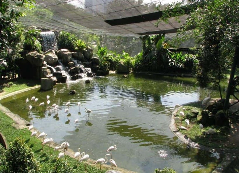 Kuala Lumpur: Bird Park, Butterfly & Garden Private Tour - Starting Among The Gardens At Perdana Botanical Garden