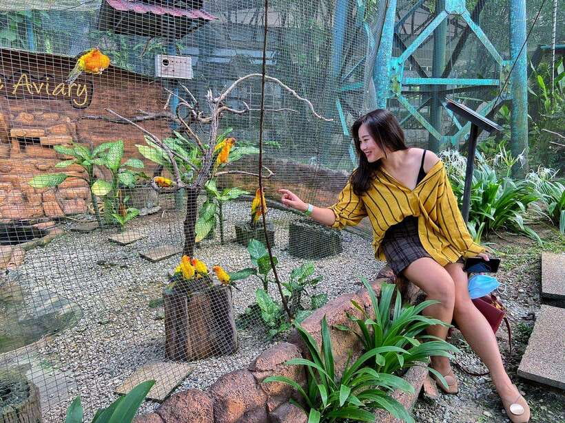 Kuala Lumpur: Bird Park Day Ticket & 1-Way Transfer - Is $30 good value?