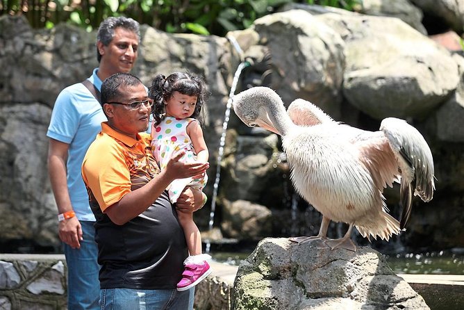 Kuala Lumpur Bird Park With Return Transfers - Walking through the four zones