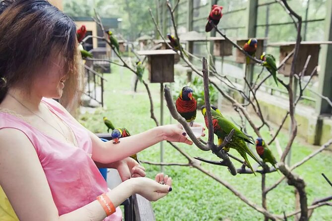 Kuala Lumpur Bird Park With Return Transfers - Bird shows, education, and family appeal