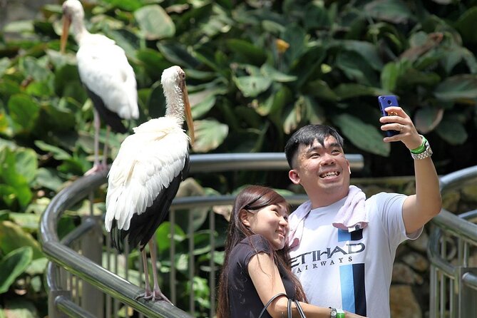 Kuala Lumpur Bird Park With Return Transfers - Timing your visit and avoiding small mistakes