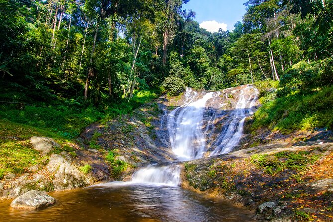 Kuala Lumpur: Cameron Highlands & Batu Caves Private Day Tour - BOH Sungai Palas and the best views of the day