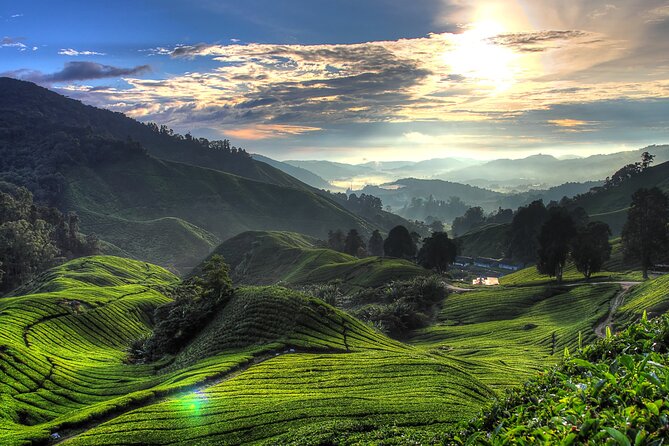 Kuala Lumpur: Cameron Highlands & Batu Caves Private Day Tour - Lata Iskandar Waterfall and the road into the hills