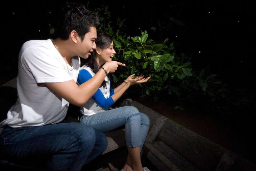 Kuala Lumpur: Fireflies & Blue Tears Tour with Seafood Meal - Who should choose this evening tour?