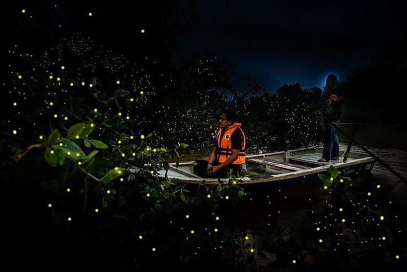 Kuala Lumpur: Fireflies Tour with Dinner and Hotel Pickup - Key points to know before booking