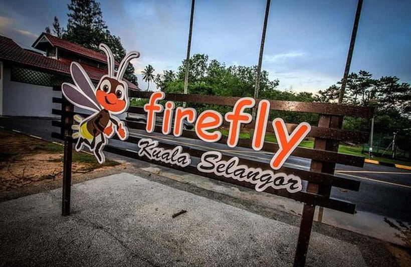 Kuala Lumpur: Fireflies Tour with Dinner and Hotel Pickup - Why this Kuala Lumpur day trip works