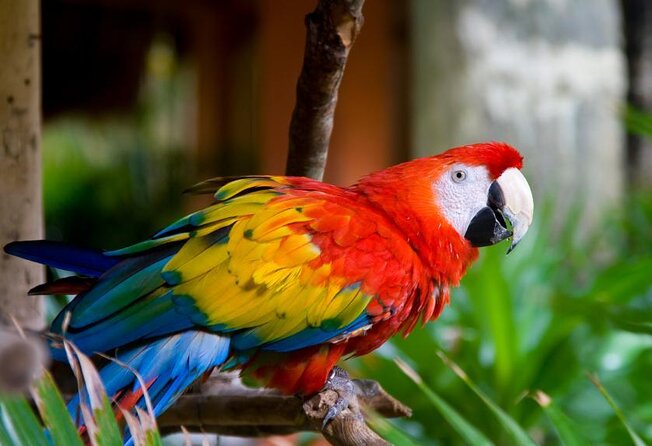 Kuala Lumpur Garden, Park and Museum Tour with Lunch - Key points to know before booking