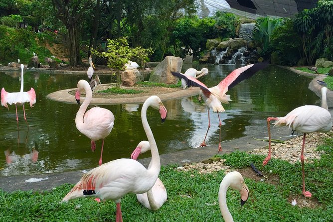Kuala Lumpur Garden, Park and Museum Tour with Lunch - Royal Malaysia Police Museum and the limits of the schedule