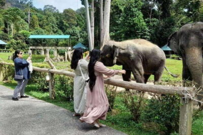 Kuala Gandah and Batu Caves Private Trip