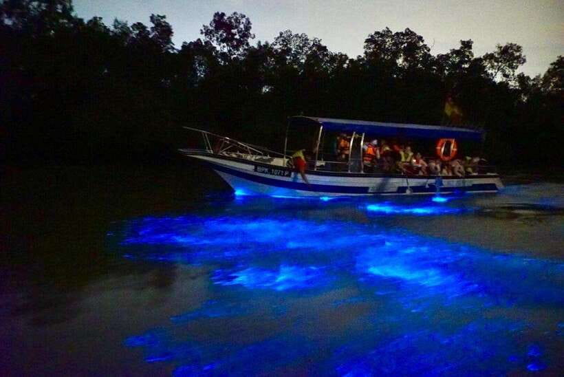 Kuala Lumpur: Kuala Selangor Fireflies and Blue Tears Tour - Seafood by the river at the fishing village