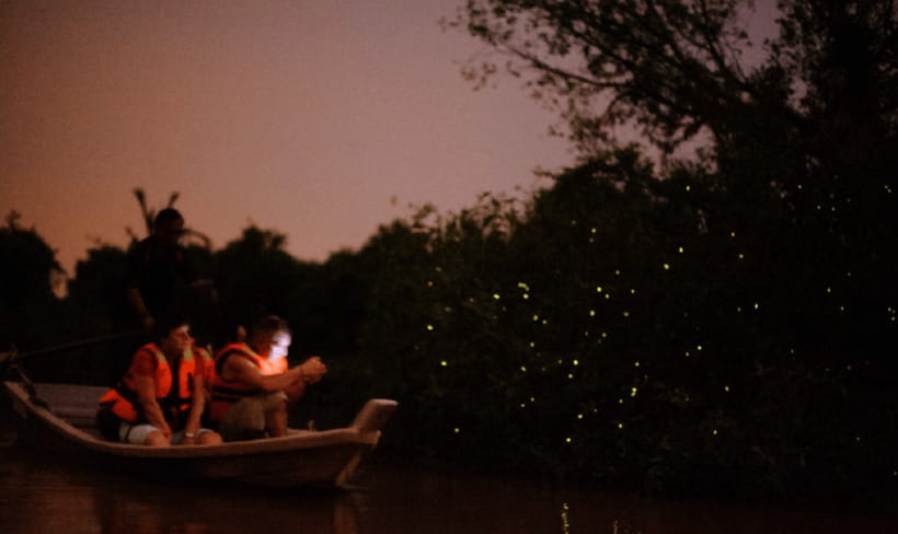 Kuala Lumpur: Kuala Selangor Firefly Tour and Dinner - Timing, changes, and cancellation