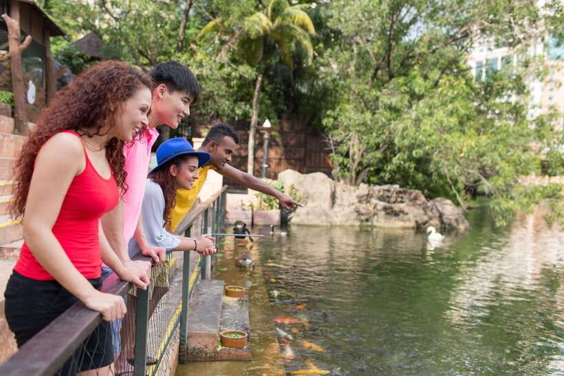 Kuala Lumpur: Sunway Lagoon Entry Ticket - A practical schedule for one long day