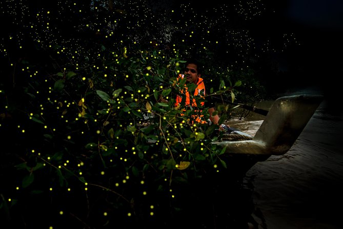 Kuala Selangor Fireflies - Batu Caves Temple- Malawati Hill DayTour With Dinner - Batu Caves and the 272-step climb