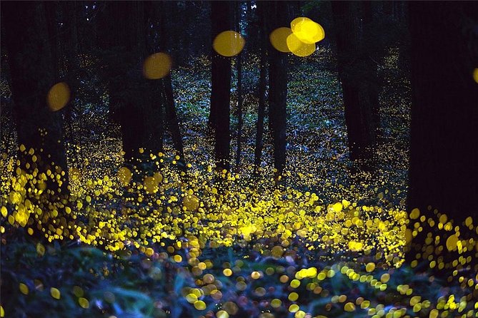 Kuala Selangor Fireflies & Nature Escape – From Kuala Lumpur - Sri Shakti Temple: a ten-minute architectural stop