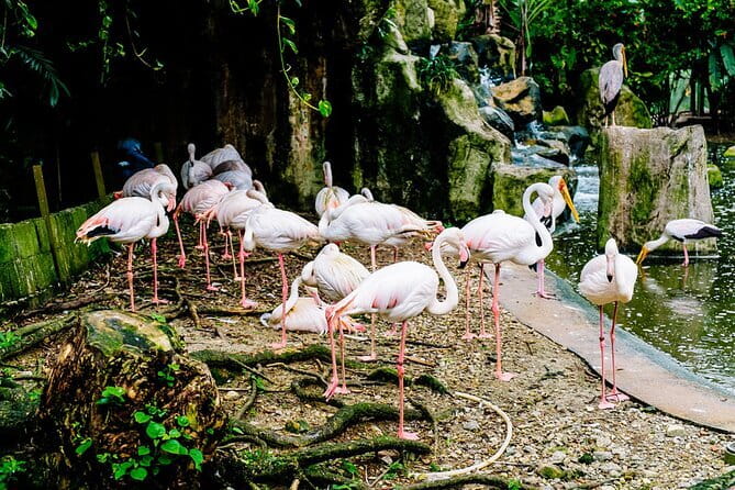 Kuala Selangor Sky Mirror Experience – Natural Mirror Beach Tour - Is $94.27 per person good value?