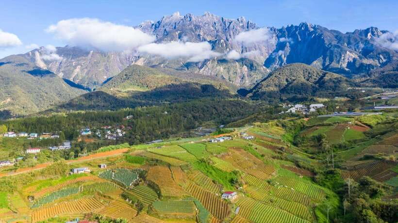 Kundasang: Day Tour with Desa Dairy Farm and Alpaca Club - Key points at a glance