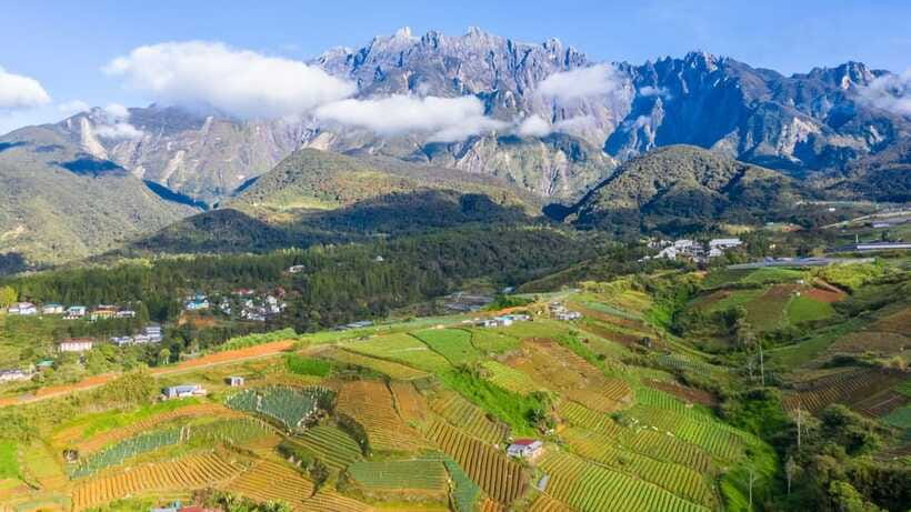 Kundasang: Day Tour with Desa Dairy Farm and Alpaca Club - Nabalu Town and the Mount Kinabalu viewing platform