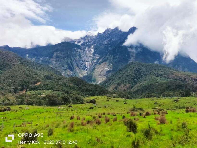 Kundasang : Poring Hot Spring + Desa & Meal Shared Tour - Desa Dairy Farm, Sabah’s Little New Zealand