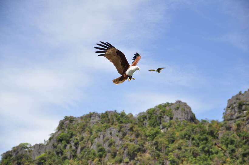 Langkawi: 6-Hour Private Island Highlights Tour - Why a private six-hour tour works well in Langkawi
