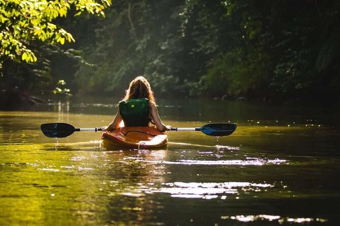 Langkawi Adventure Tour : Mangrove Kayaking with Private Pickup - First hour on the Kubang Badak River