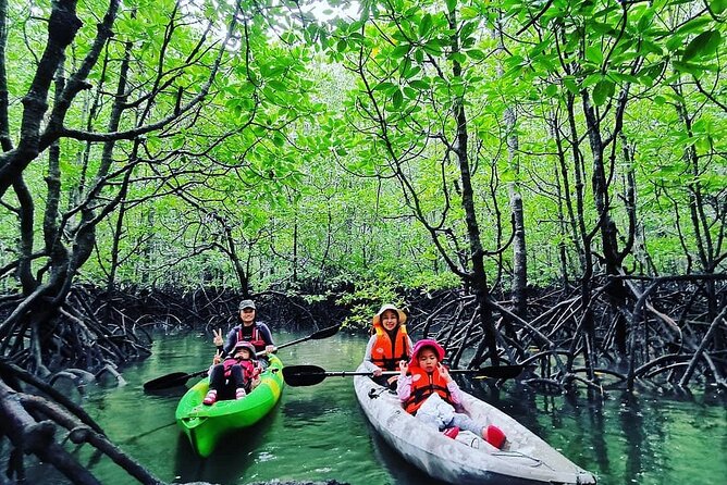 Langkawi Adventure Tour : Mangrove Kayaking with Private Pickup - The second hour: wildlife, rock, and shaded water