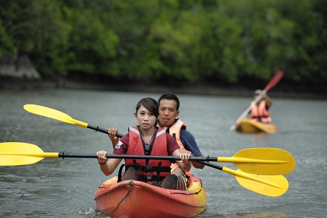 Langkawi Adventure Tour : Mangrove Kayaking with Private Pickup - Is $118.51 good value?