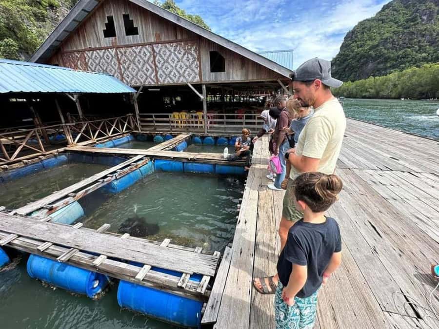 Langkawi: Boat Tour to Magic Island & Mangrove Cruise - Why this two-hour boat trip is different