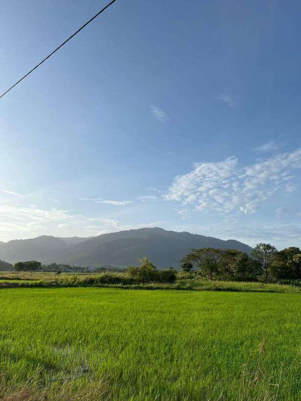 Langkawi: Countryside Bike Tour, Waterfall Swim & Dessert - Key points to know before you book