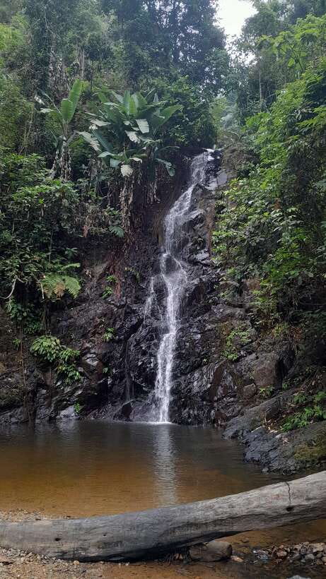 Langkawi: Countryside Bike Tour, Waterfall Swim & Dessert - Cycling through rice fields and village roads