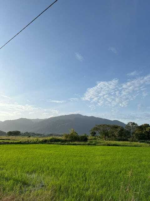 Langkawi: Countryside Bike Tour, Waterfall Swim & Dessert - Meeting Kedah life at a slower pace