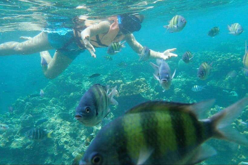 Langkawi: Dangli Island Snorkel and Swim Speedboat Tour - Should You Book the Dangli Island Tour?