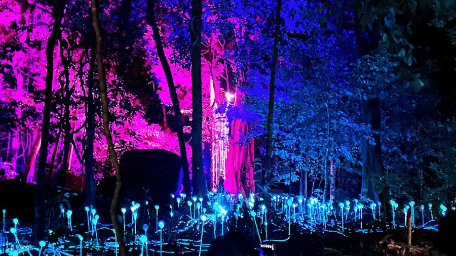 Langkawi: Dream Forest Langkawi Standard Admission Ticket - My verdict on the experience