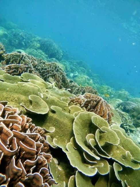 Langkawi: Floating Restaurant & Snorkeling Trip - The floating restaurant and fish farm
