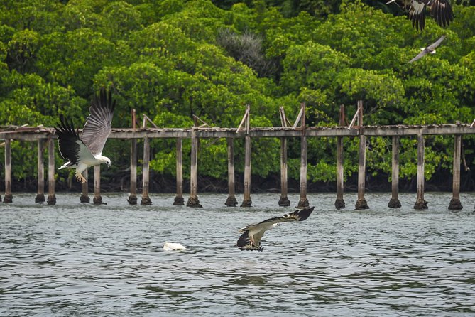 Langkawi Half Day Island Hoping Tour- Sharing basis - Beras Basah Island Gives You the Beach Hour