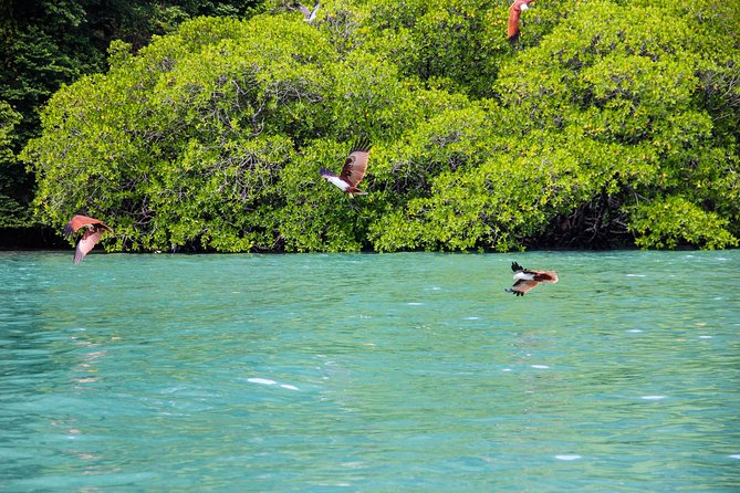 Langkawi Half Day Island Hoping Tour- Sharing basis - Crowds, Timing, and the Difference a Departure Makes