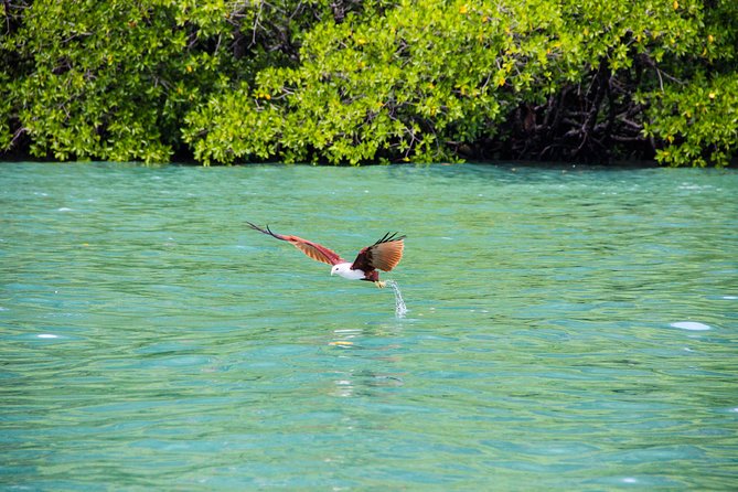 Langkawi Half Day Island Hoping Tour- Sharing basis - The Morning Pickup From Pantai Cenang, Pantai Tengah, or Kuah
