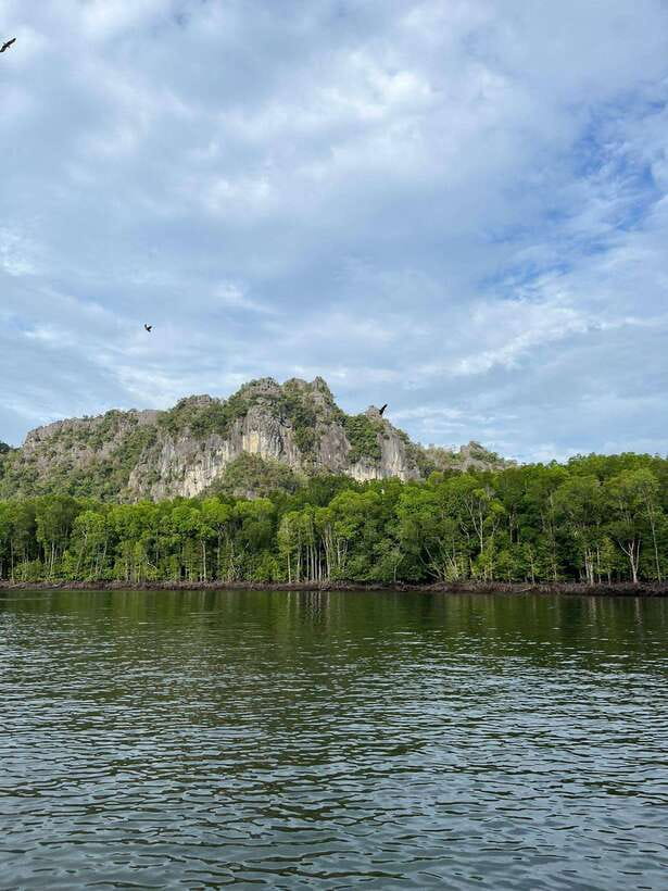 Langkawi: Half-Day Private Kilim River Mangrove Boat Tour - Five things worth knowing before you go